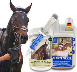 Elektrolyte für das Pferd I SPARSET I Life Natürliche Mineralien Elektrolyt Liquid und Booster Rege