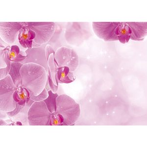Fototapete Orchideen Tapete Orchidee Tropfen Rosa Wellness lila lila | no. 407, Größe:208x275 cm, Material:Fototapete Vlies - PREMIUM PLUS