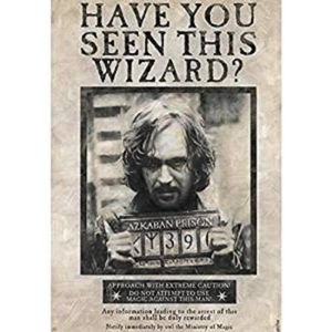 Wanted Sirius Black Maxi Poster - Harry Potter