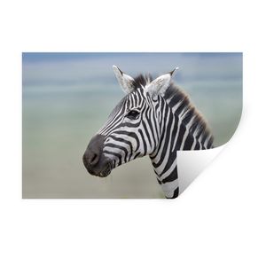 Wandaufkleber - Zebra Nahaufnahme - 90x60 cm - Repositionierbar