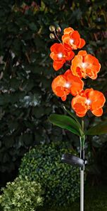 Solar Gartenstecker "Orchidee" orange, 75 cm hoch, Beetstecker, Blumenstecker