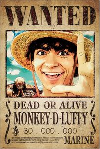 One Piece - Wanted Money D. Luffy - Anime Plakat Poster Druck Grösse 61x91,5 cm