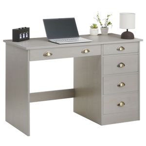 Schreibtisch LANA aus massiver Kiefer in grau, geräumiger Computertisch mit 5 Schubladen, praktischer Bürotisch mit Muschelgriffen