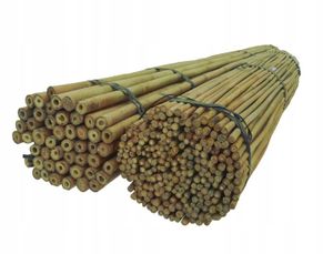 DIXIE STORE Bambusstangen Set Blumenstützen - 100 Stück 180 cm x 14-16 mm
