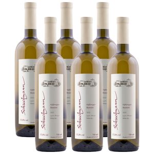 Schuchmann wines Rkatsiteli 2022 gruzínské bílé suché víno (6 x 0.75l)