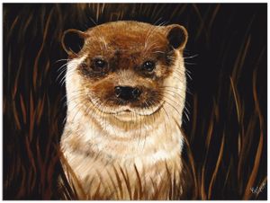 ARTland Wandbild Alu für Innen & Outdoor Otter im Gras Größe: 40x30 cm