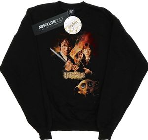 Harry Potter - "Chamber Of Secrets" Sweatshirt für Herren BI28243 (5XL) (Schwarz)