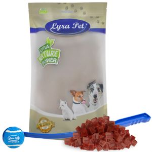 5 kg Lyra Pet® Entenbrustwürfel + Ballschleuder