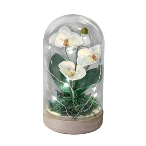 Dekolicht LED Orchidee formano