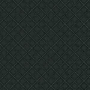 Vliestapete 10289-15 Tapete Grafik 0.53 x 10.05 m Erismann Versailles Schwarz Vliestapete 10289-15 Tapete Grafik 0.53 x 10.05 m Erismann Versailles Schwarz