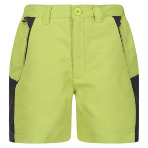 Regatta - "Sorcer Mountain III" Shorts für Kinder RG9499 (170-176) (Grünalgen/Mittelgrau)