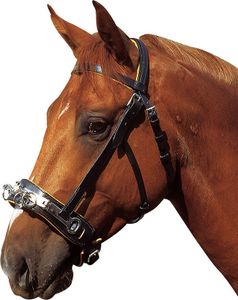 Kappzaum Exelsior Leder Leder Kappzaum Excelsior Kappzaum, Größe:Warmblut