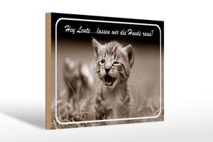 Holzschild Katze 30x20cm Hey lassen wir die Hunde raus?