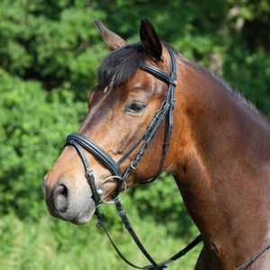 Kieffer  Trense ERGONOMIC LINE 215 engl. RH schwarz WB oder VB Trensenzaum Warmblut