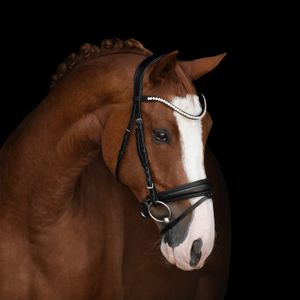 Kieffer Trensenzaum Victoria II schwarz, Größe Pferd:Warmblut