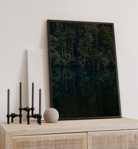 Poster Waldspiegelung, groesse_poster:40x50 cm, groesse_rahmen:schwarz 40x50 cm