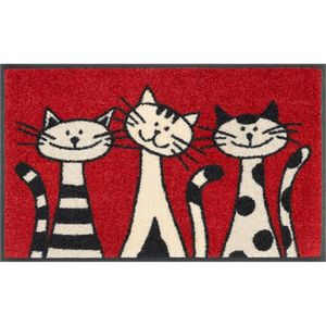 wash+dry Schmutzfangmatte Three Cats - 40 x 60 cm