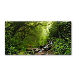 Tulup® Acrylglas - 140 x 70 cm - Bild auf Plexiglas Acrylglas Bild - Dekorative Wand für Küche & Wohnzimmer - Landschaften - Dschungel Nepal - Grün