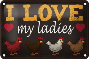 Blechschild Spruch 18x12cm Hühner i love my ladies Dekoration