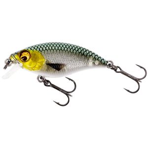 Westin BuzzBite SR Crankbait 5cm 6g Low Floating 3D Headlight