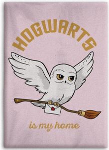 Aymax Harry Potter Hedwig huňatá deka príjemná deka 110 x 150 cm