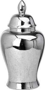 Hill Interiors - Ingwer-Gefäß, Chrom HI4201 (28 cm x 13 cm x 13 cm) (Silber)
