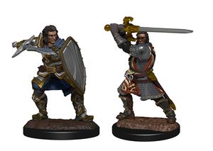 D & D Nolzurs wunderbare unlackierte Miniaturen (W14) Human Paladin männlich