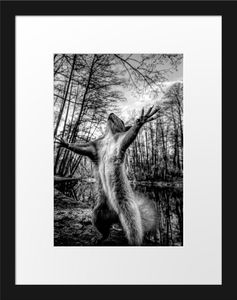 Lustiges Eichhörnchen steht im Wald, MonochromeBilderrahmen mit Galerie-Passepartout / Format: 38x30cm / gerahmt / hochwertige Leinwandbild Alternative