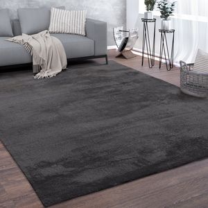 Teppich, Kurzflor-Teppich Für Wohnzimmer, Super Soft, Weich, Waschbar, In Dunkel Grau Grösse 120x170 cm