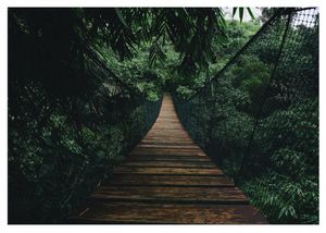 Vlies Fototapete 3D Effekt Dschungel Wald Natur Brücke (368x254 cm - inkl. Kleister) Wohnzimmer Schlafzimmer Vliestapete Wandtapete Modern Tapete Montagefertig