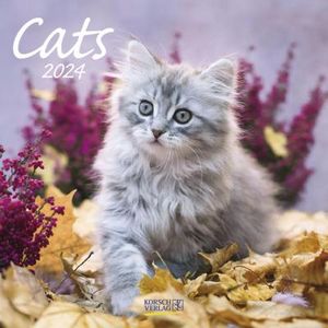 Cats 2024