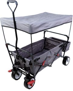 Bollerwagen FX-CT350 Grau