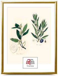 aFFa frames, Plastik Bilderrahmen, Acrylglasfront, Fotorahmen, Posterrahmen, Gold, 40x50 cm