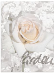 ARTland Wandbild Alu für Innen & Outdoor Rose Größe: 30x40 cm