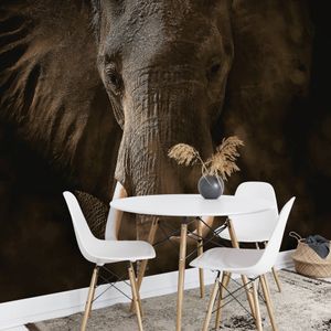 A.S. Création Vlies Fototapete Elefant Elephant Ivory DD118922 Tiere Designwalls