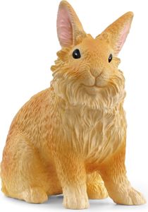 Löwenkopfkaninchen