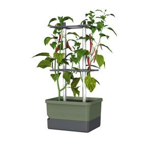 Gusta Garden CHARLY CHILY Standard samozavlažovací truhlík, tmavě zelený, rozměry 34,5×27,5×68,7 cm