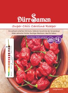 Super-Chili Carolina Reaper, die weltweit schärfste Chili-Sorte bildet zahlreiche Früchte, Vorsicht bei deren Verwendung