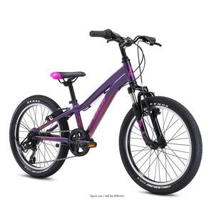 Fuji Dynamite 20 Kinderfahrrad für Mädchen und Jungen 120-135 cm Fahrrad Mountainbike Jugendfahrrad Hardtail MTB 6 Gänge
