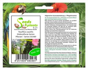 10x Passiflora coactilis Kletterpflanze Garten Pflanzen - Samen ID1489
