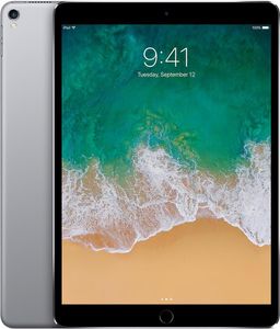Apple iPad Pro 10,5" Cellular 256 GB Space Grey Gut