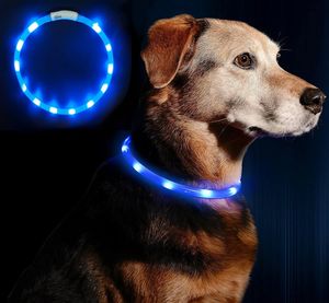 LED Leuchthalsband Hunde Halsband USB wiederaufladbar - Längenverstellbarer Haustier Sicherheit Kragen für Hunde und Katzen