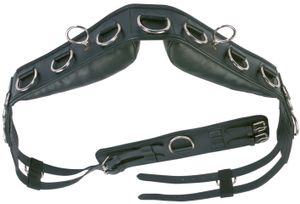 Busse Longiergurt Professional Leder schwarz Warmblut