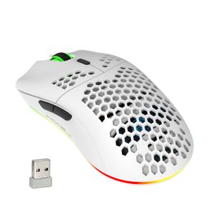 Docooler Kabellose Maus, Computermaus, 4 einstellbare DPI, 6 Tasten, kabellose Maus, kabellose RGB-Mäuse mit USB-Nano-Empfänger, 2,4 G tragbare ergonomische kabellose Maus für Laptop/Windows/Mac (Weiß)