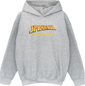 Marvel - "AKA Peter Parker" Kapuzenpullover für Jungen BI11794 (128) (Grau)