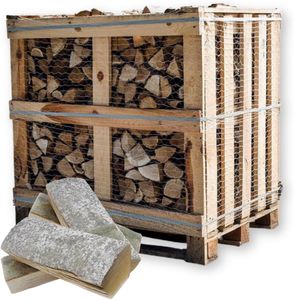 holz4home® Brennholz Hainbuche Kammergetrocknet 1RM/1,6 SRM I 450-500 kg auf Palette IFeuerholz für Kamin Ofen Grill Feuerschale Smoker BBQ