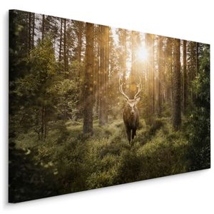 Báječné plátno OBRÁZKY 120x80 cm XXL umenie tlače jeleň les stromy slnko