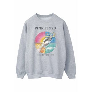Pink Floyd - "Wish You Were Here Boyfriend Fit" Sweatshirt für Herren BI48796 (S) (Grau)