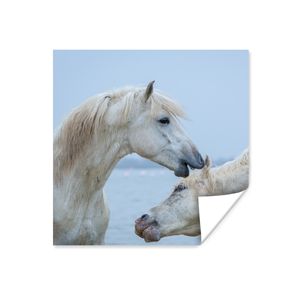 MuchoWow® Poster Pferd flüstert einem anderen Pferd in der Camargue etwas zu 100x100 cm - Babyzimmer