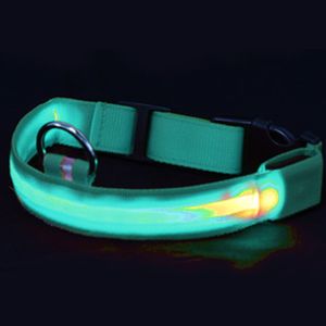 LED-Hundehalsband USB wiederaufladbar – hell und gut sichtbar beleuchtetes Leuchthalsband für nächtliche Spaziergänge mit Haustieren,Blau,L